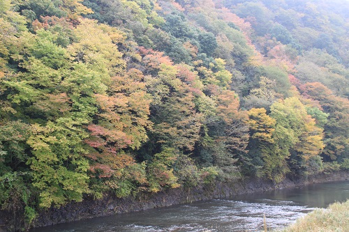 里山ウォーク