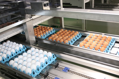 首都圏向けの鶏卵生産拠点として、関東全域に供給可能となります