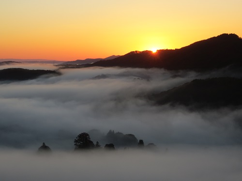 鎌倉山からの雲海