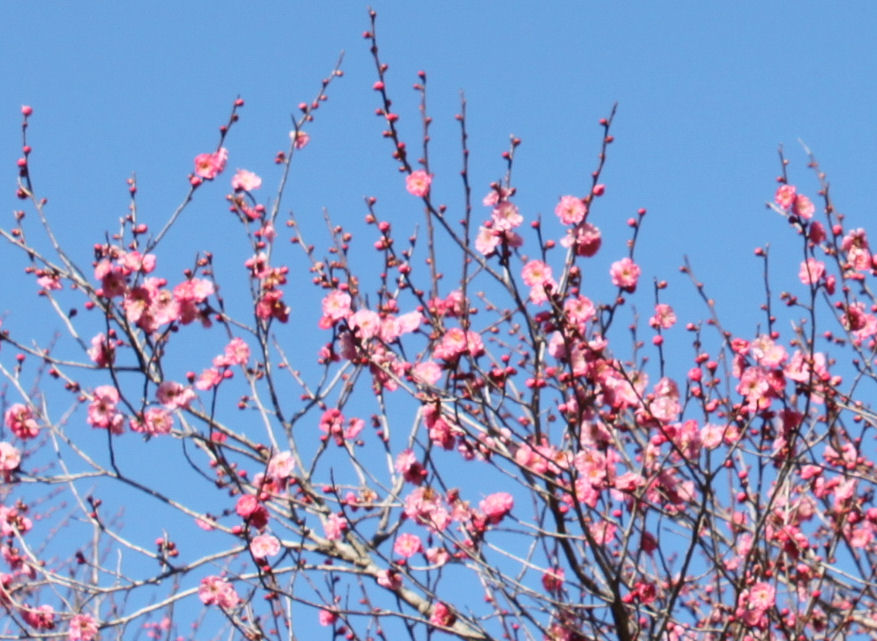 おめぇ知ってっか?3月