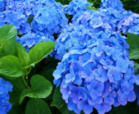 6月