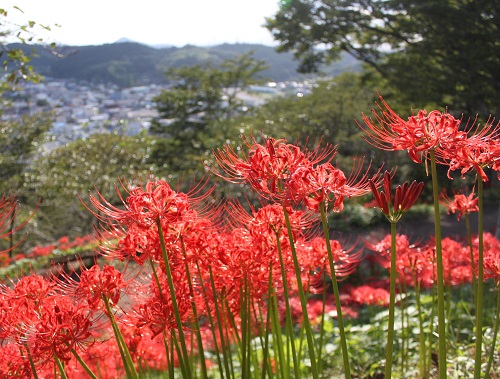 9月