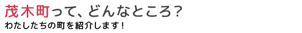 茂木町って、どんなところ？