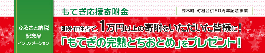 もてぎ応援寄付金 町外在住者で、１万円以上の寄附をいただいた皆様に！「もてぎの完熟とちおとめ」をプレゼント！（法人の方からの寄附は対象外）