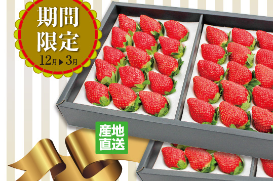期間限定12月?3月