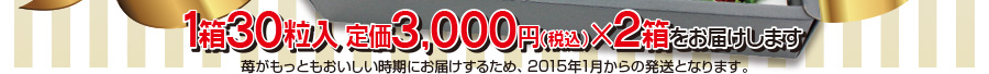 1箱30粒入 定価3,000円（税込）×2箱をお届けします。※苺がもっともおいしい時期にお届けするため、2015年1月からの発送となります。