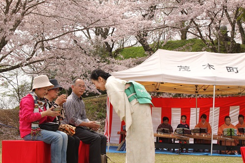 春爛漫　野点のつどい