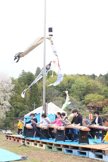 お琴の美しい調べ♪