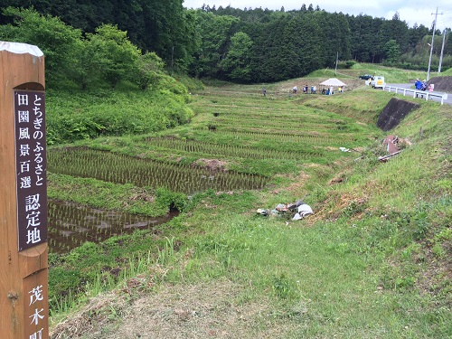 「とちぎのふるさと田園風景百選」の認定地である「天子の棚田」