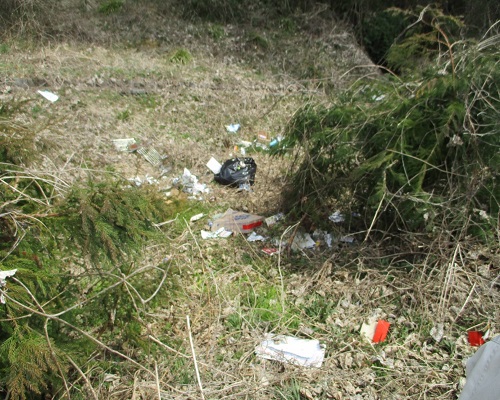 一般廃棄物の不法投棄　　　　　　　　　　　　　　　　　　　　　　　　　　　　　　　　　　　　　(不法投棄者と関係する証拠物件が発見、警察により犯人特定に至りました)