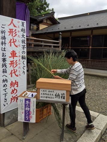 お風呂に入れる茅(カヤ)をもらいました