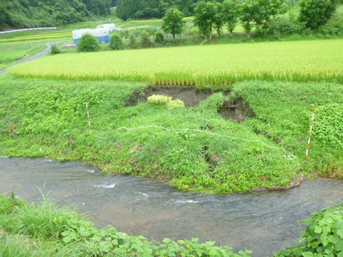 田んぼのどて崩れ