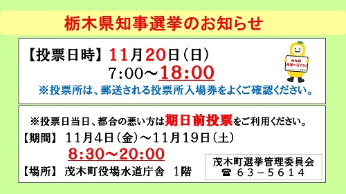11月20日は栃木県知事選挙