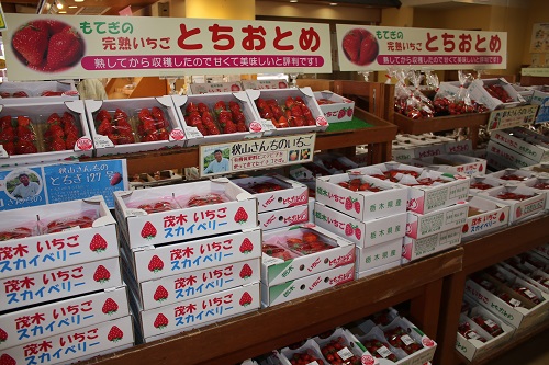 所狭しと並ぶイチゴ達!