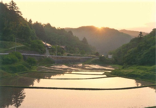 入郷石畑の棚田（鈴木文夫さん提供）