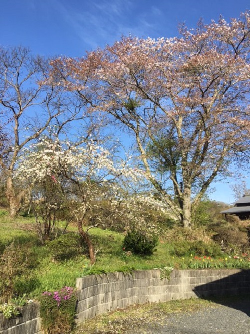 季節が移り変わっています