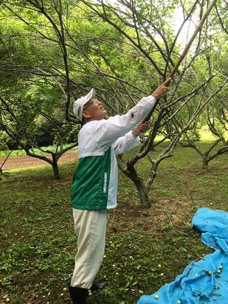 先週の特訓のおかげでたくさん収穫できました