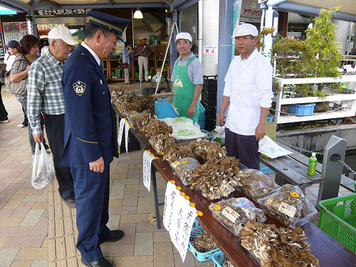 菊池署長さんも感心しきりのキノコ