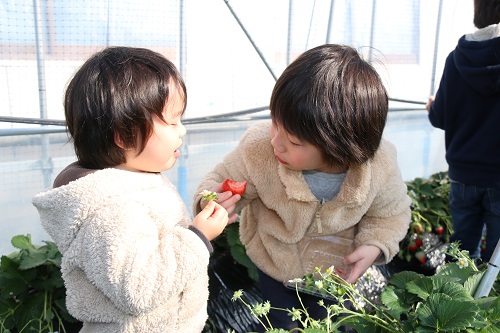 子どもたちもおいしそうに食べていました