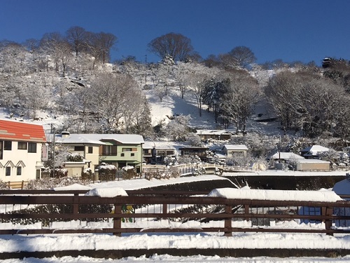 城山も雪化粧