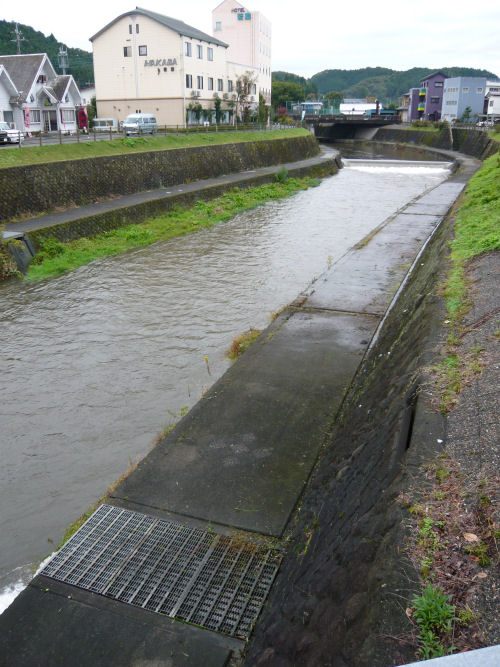 きれいになった高水敷