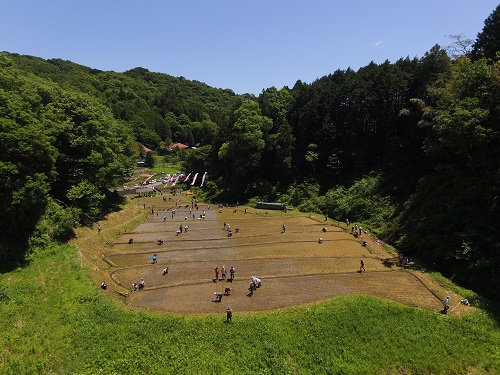茂木町でも、棚田などの自然を通じて都市との交流を図っている