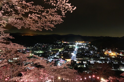 桜かくしに限らず、町には美しい桜の風景がまだまだたくさんあります。