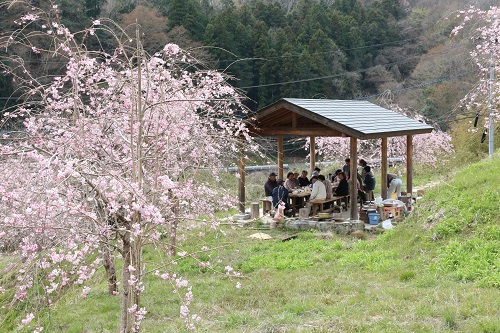 美しい花を愛でながら、住民同士交流を深めてもらいたい