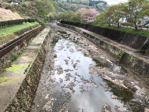 こんな逆川、見たくない