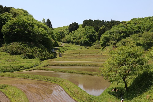 入郷「石畑の棚田」