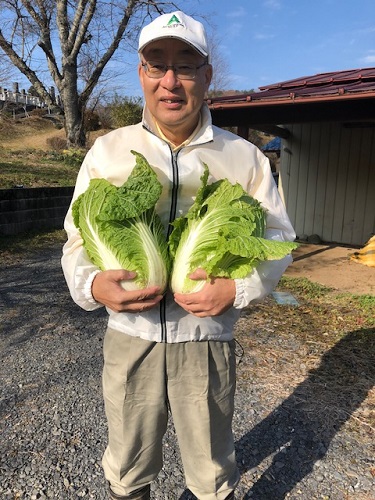 白菜は虫に食べられましたが、まあまあ。