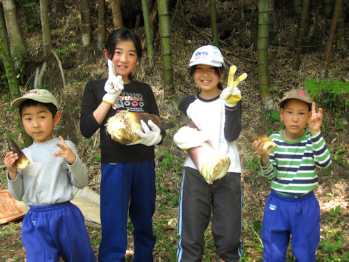 タケノコ掘りにお子様も大満足のようです