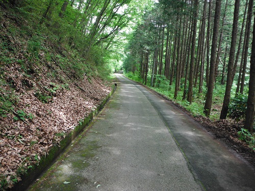 きれいになった林道辰沢線