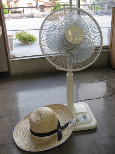 夏に向けて準備万端です！