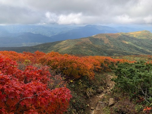 紅葉の尾根を歩く