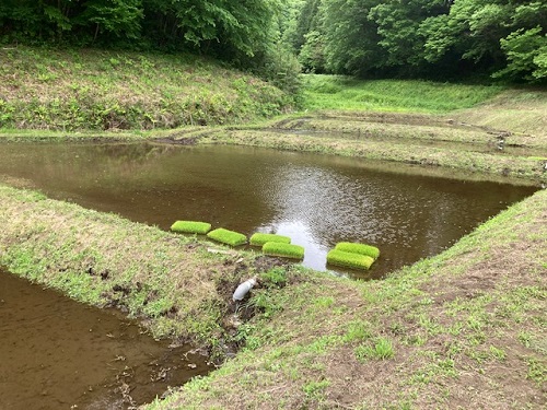 田植えの準備万端の棚田