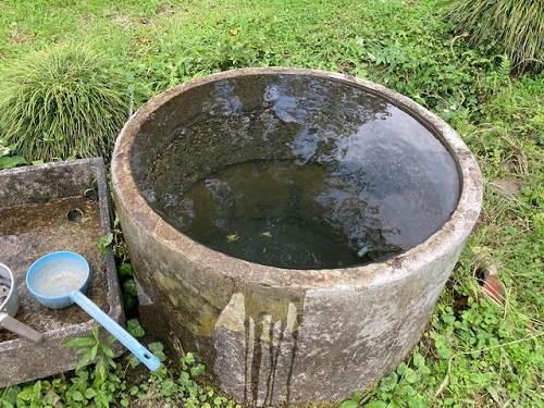 外井戸とミーコの水飲み柄杓(ひしゃく)