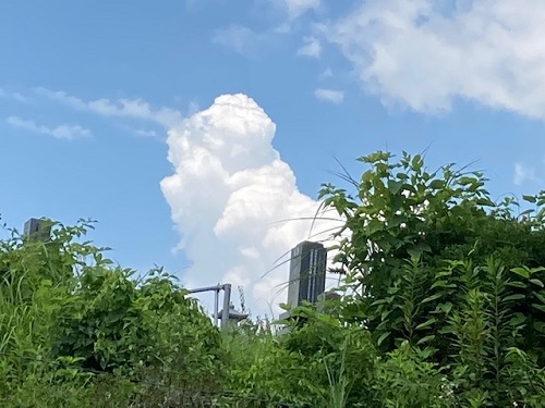 見上げれば入道雲、遠い夏の日を思い出す