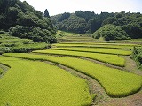 入郷石畑(9月)