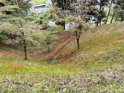 一面が真っ赤になるまであと少し