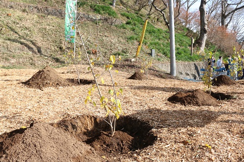 すくすく育ってほしい