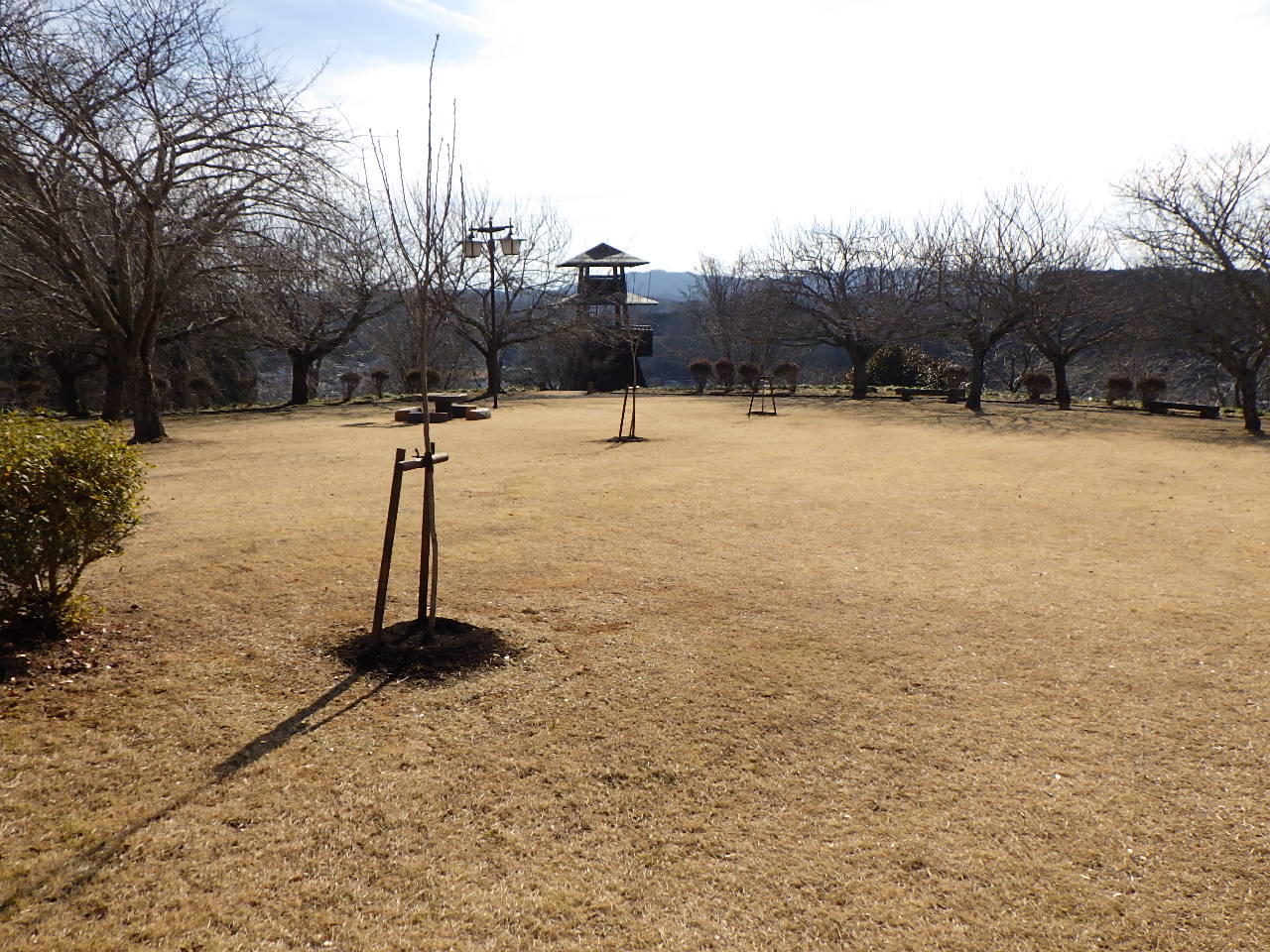 城山公園　植栽完了後