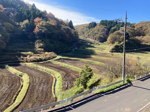 美しく整備された石畑の棚田