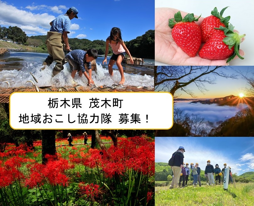 地域おこし協力隊員募集
