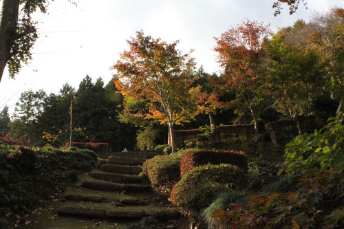 長安寺も秋の気配がしてきました