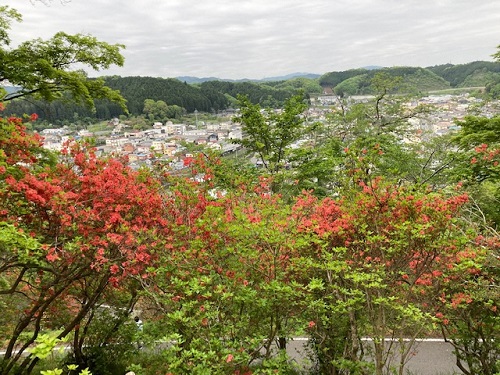 城山公園からツツジ越しに町並みを望む