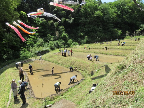 甲(かぶと)