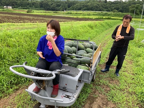 やっと収穫