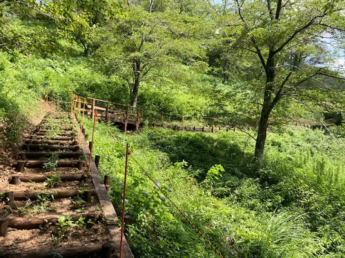 新たな遊歩道が整備されました