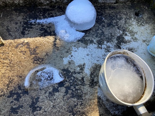 ミーコの水飲みも完全凍結